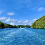 Palau20252