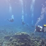 20260612_074423 20260612_074423